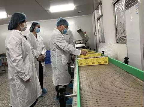 同心抗疫，，，确保质量！！征途国际官网公司振隆厂外车间接受广药集团生产监视包管小组事情督导