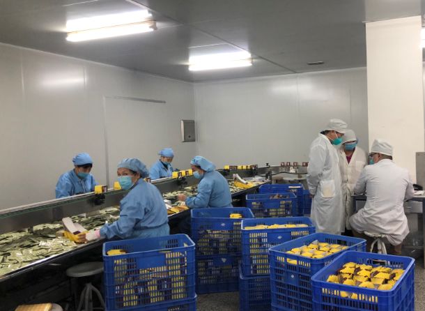 【初心如磐，，，使命在肩】征途国际官网第三党支部组织员工提前复工包管生产